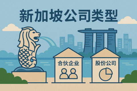 新加坡公司类型对比：Pte Ltd、Branch、Subsidiary 如何选择最适合的架构？